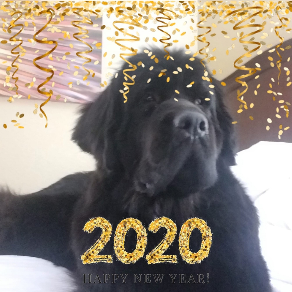 Meet your Posher, Patte